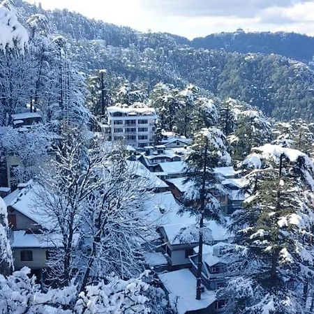 Wintry Homes 5 Bhk Villa Shimla Exterior photo